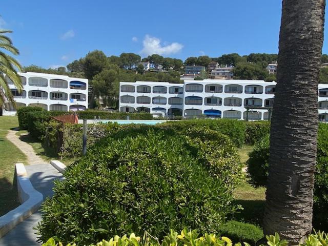 Playa La Mora Apartamento